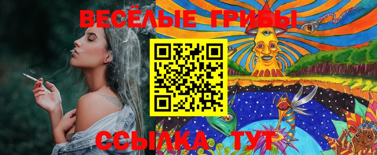 Галлюциногенные грибы Magic Shrooms  Вход с VPN  Алатырь 